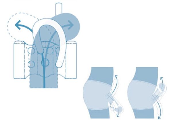 voortplantingssysteem van adolescenten